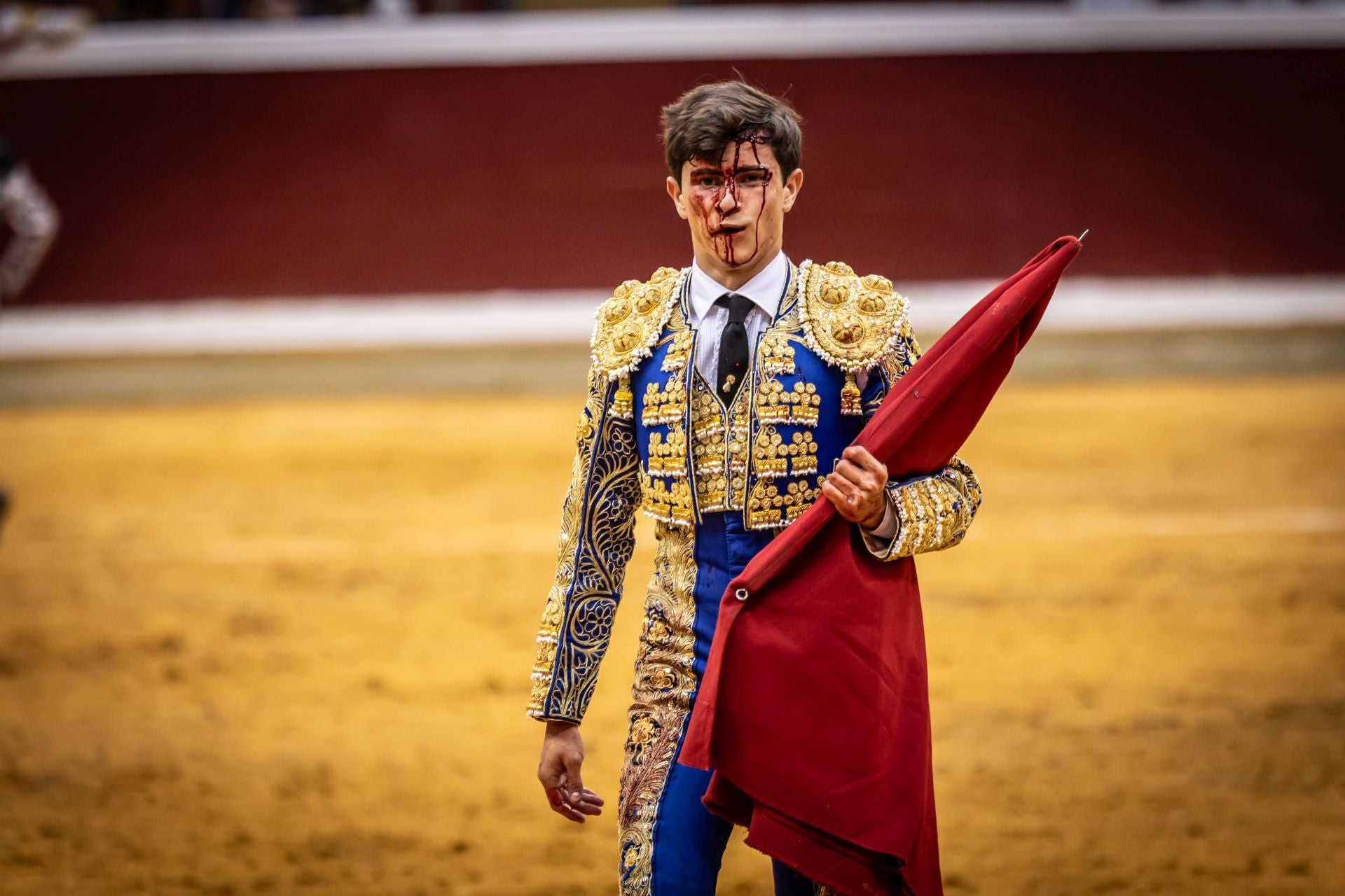 Un domingo de toros mateos