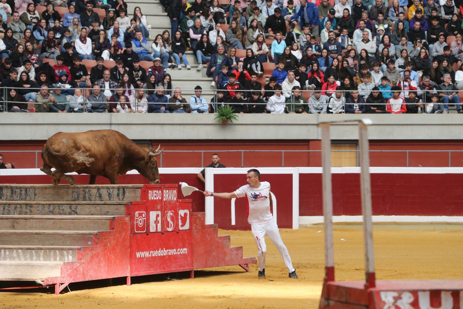 Una mañana de vaquillas en la Ribera