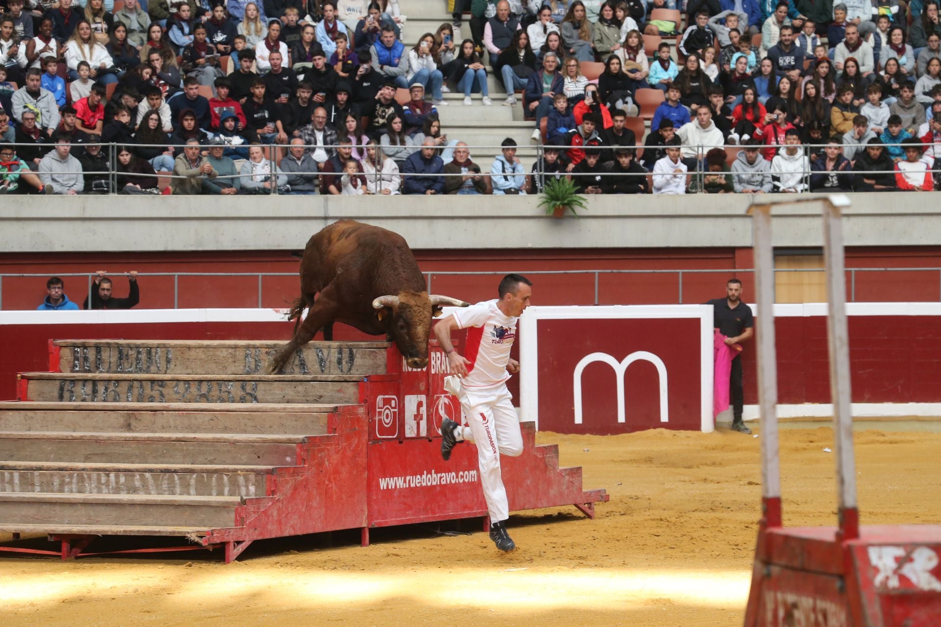 Una mañana de vaquillas en la Ribera