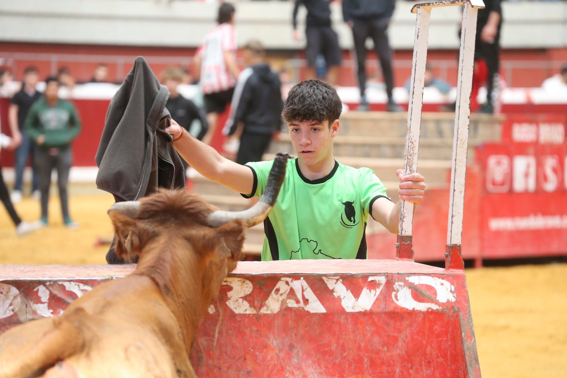Una mañana de vaquillas en la Ribera