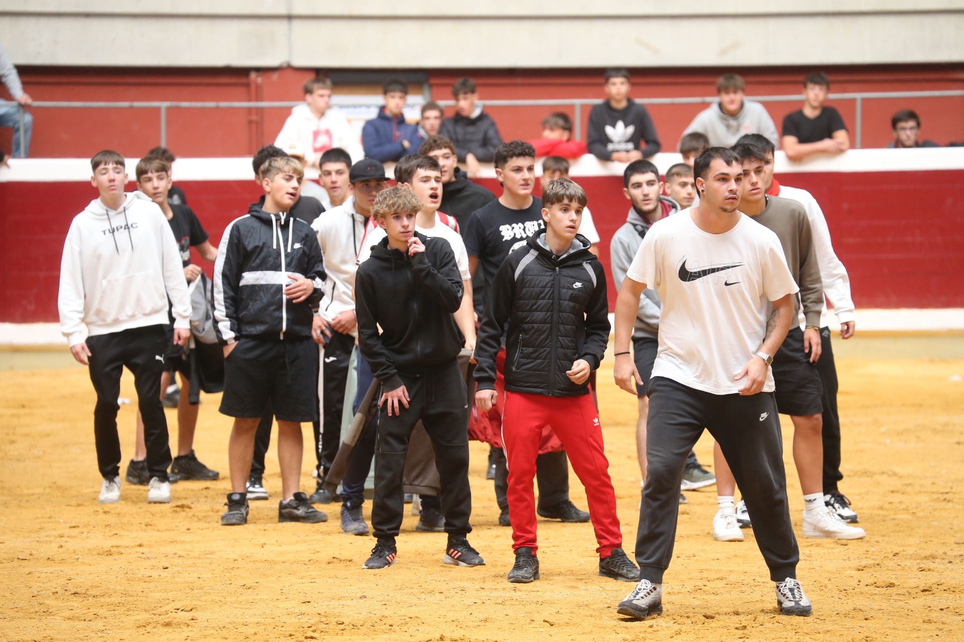 Una mañana de vaquillas en la Ribera