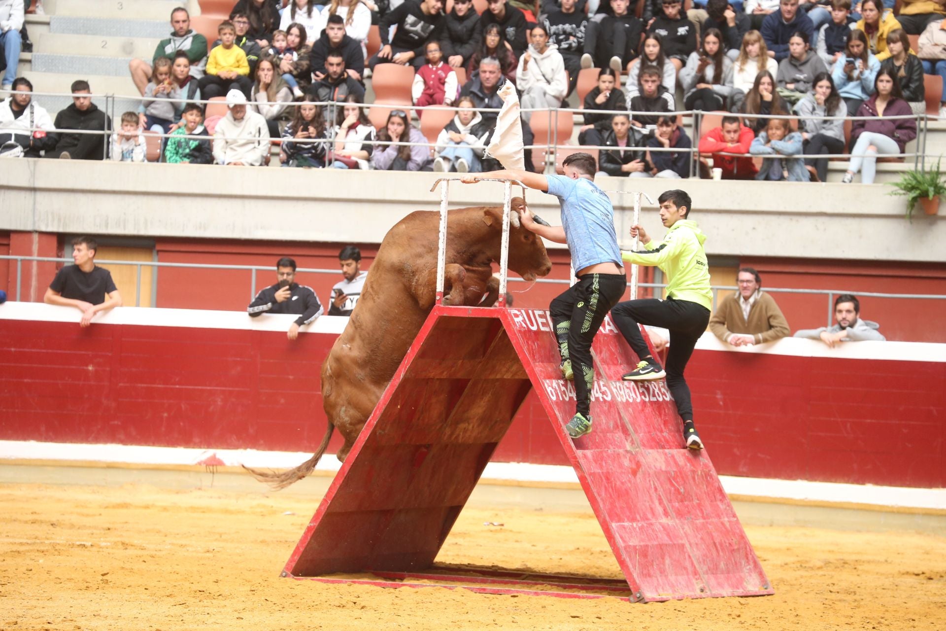 Una mañana de vaquillas en la Ribera