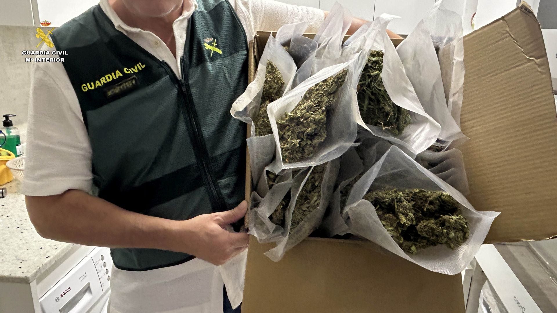 Marihuana lista para San Mateo