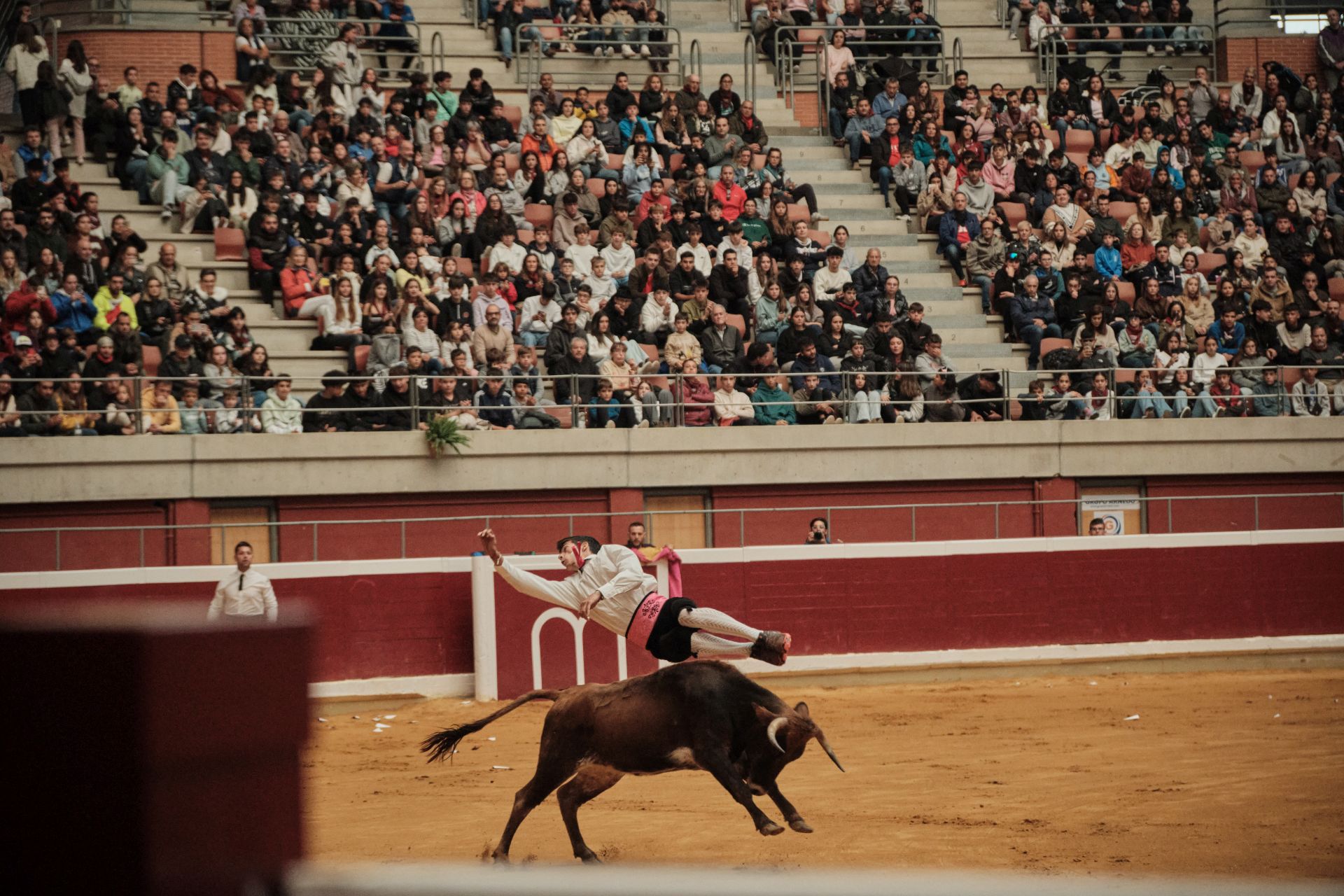 Martes de vaquillas en La Ribera