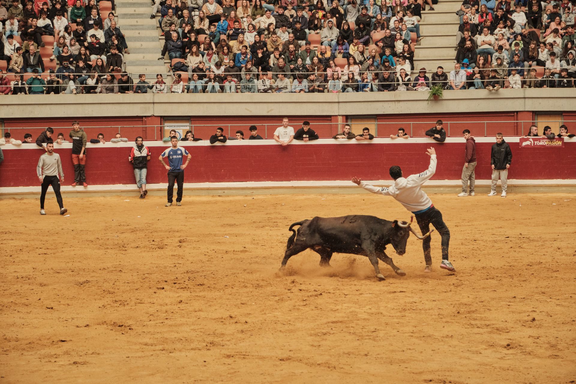 Martes de vaquillas en La Ribera