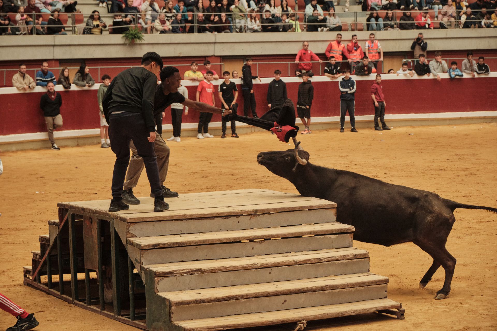 Martes de vaquillas en La Ribera