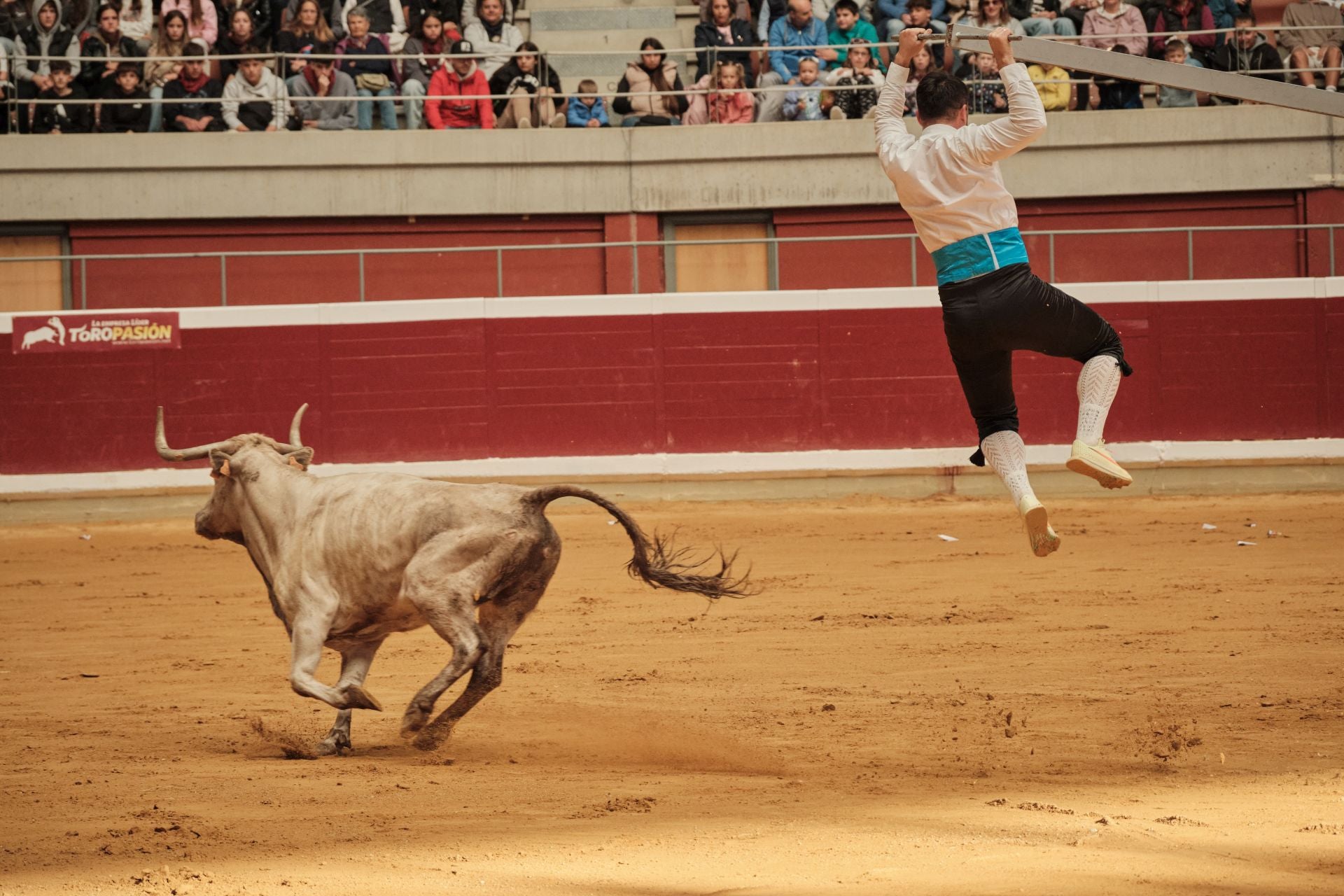 Martes de vaquillas en La Ribera