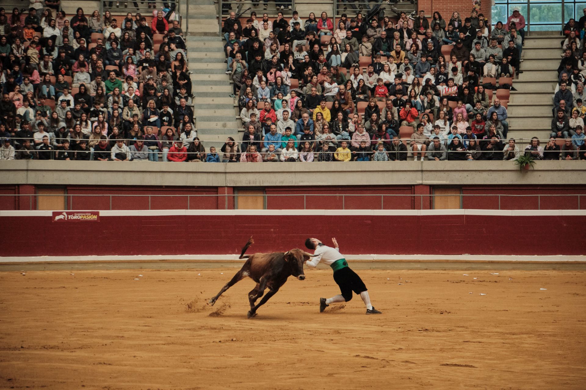 Martes de vaquillas en La Ribera