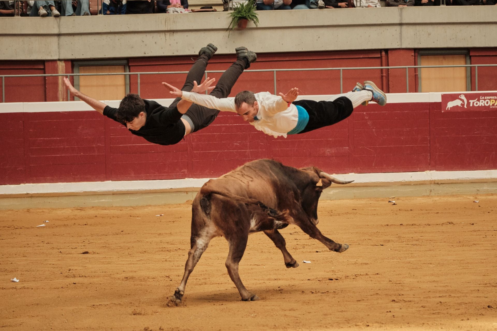 Martes de vaquillas en La Ribera