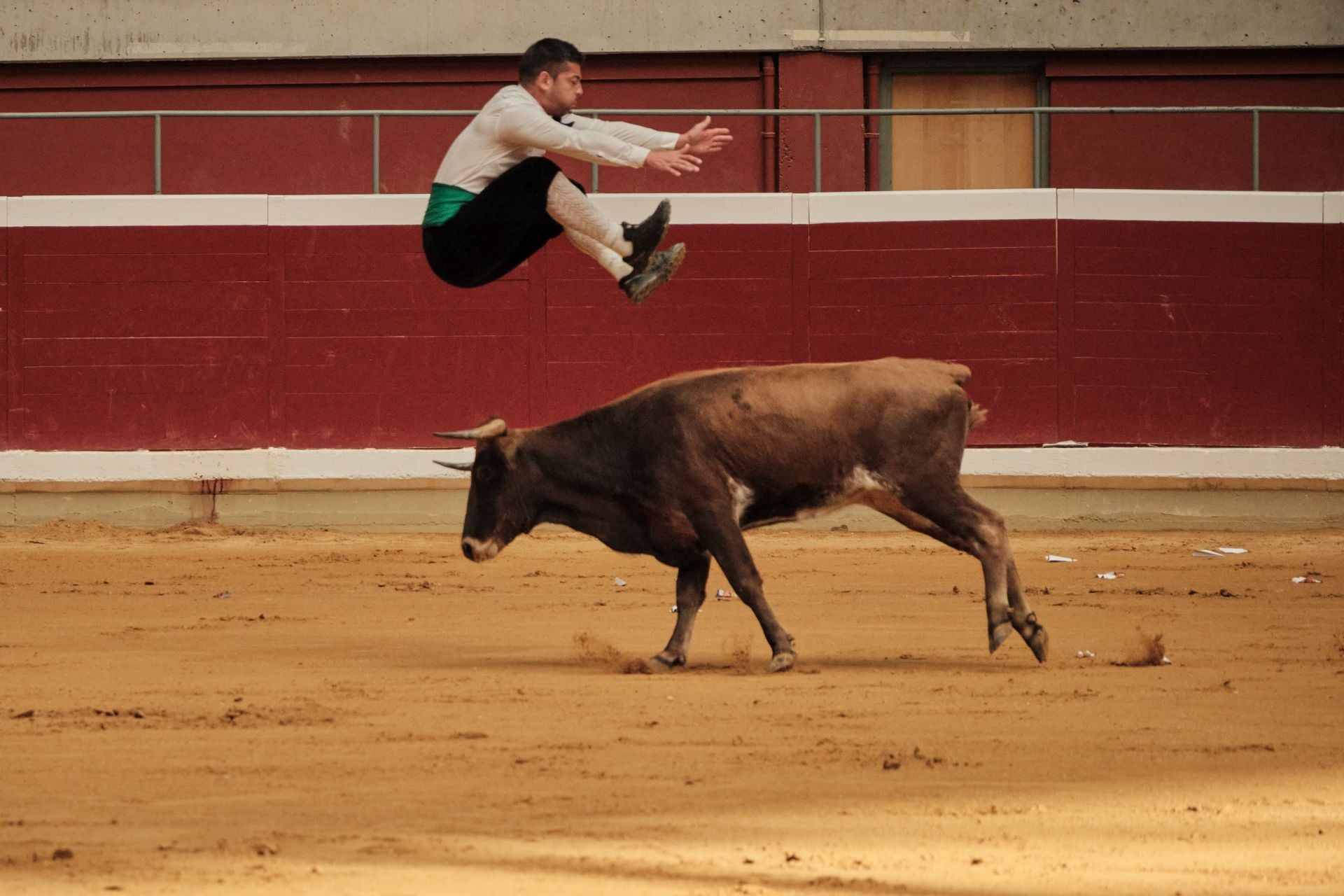 Martes de vaquillas en La Ribera