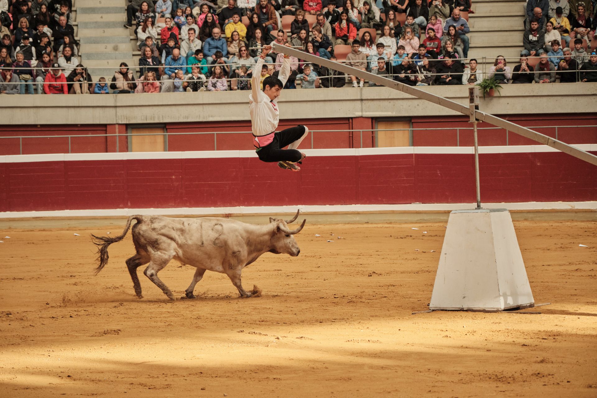 Martes de vaquillas en La Ribera