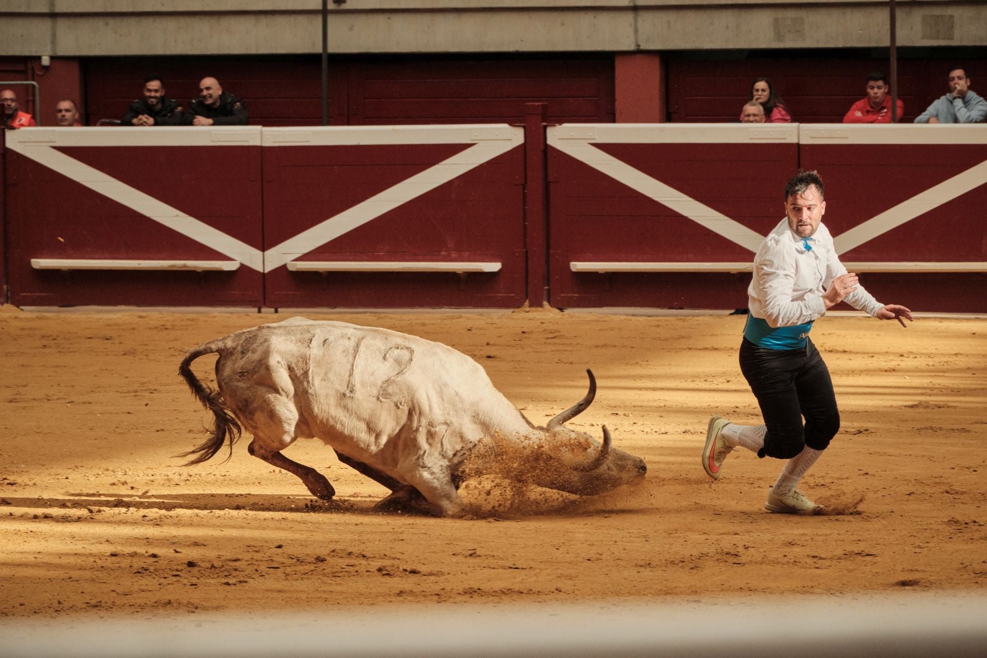 Martes de vaquillas en La Ribera