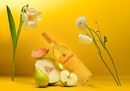 Campo Viejo Blanco: oro en Mundus Vini