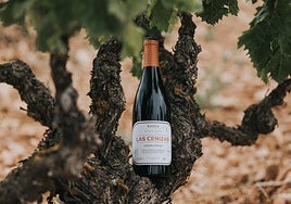 Nueva añada de Las Cenizas, vino de pueblo de Cenicero