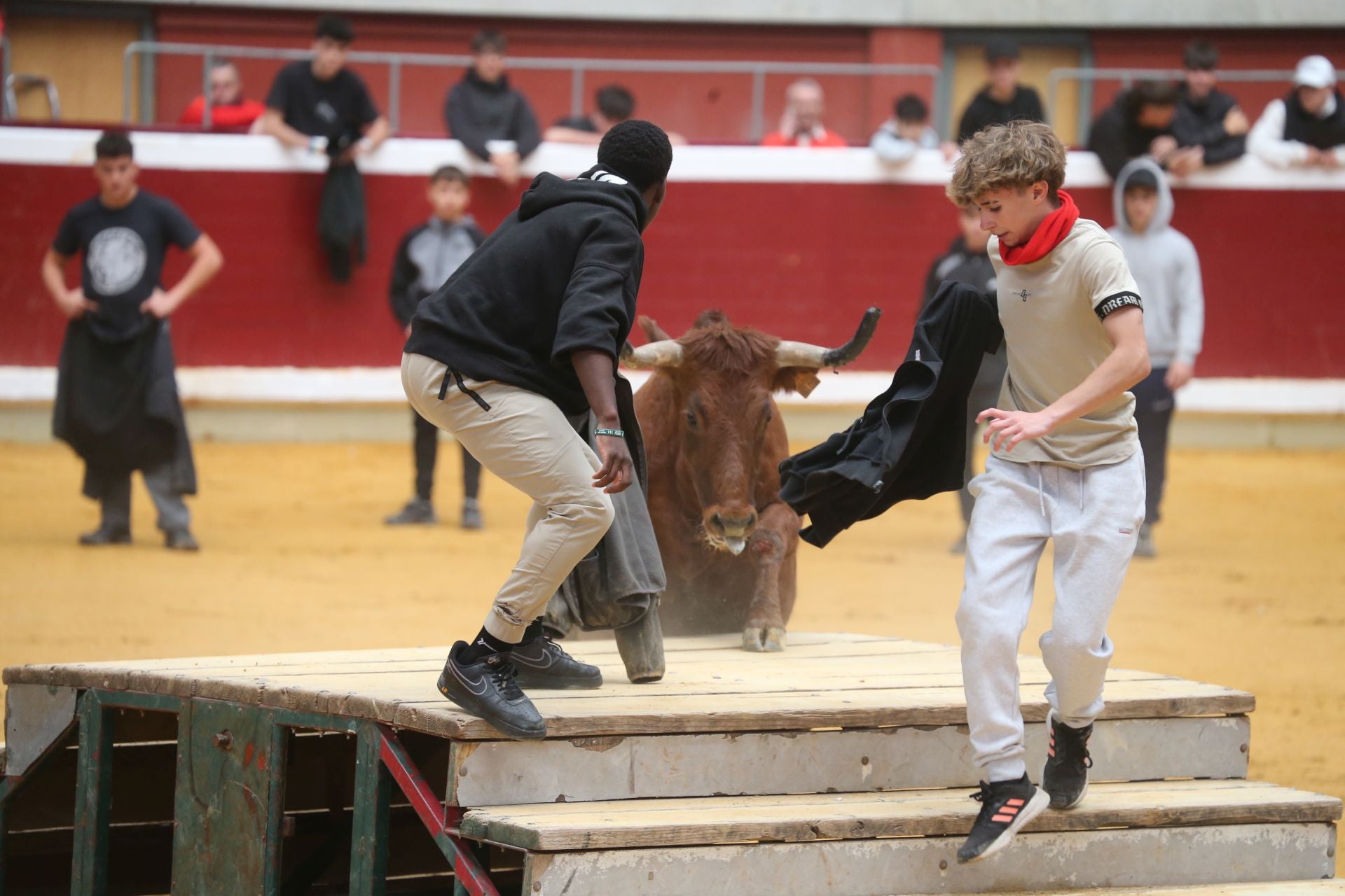 Las vaquillas tampoco defraudan el miércoles