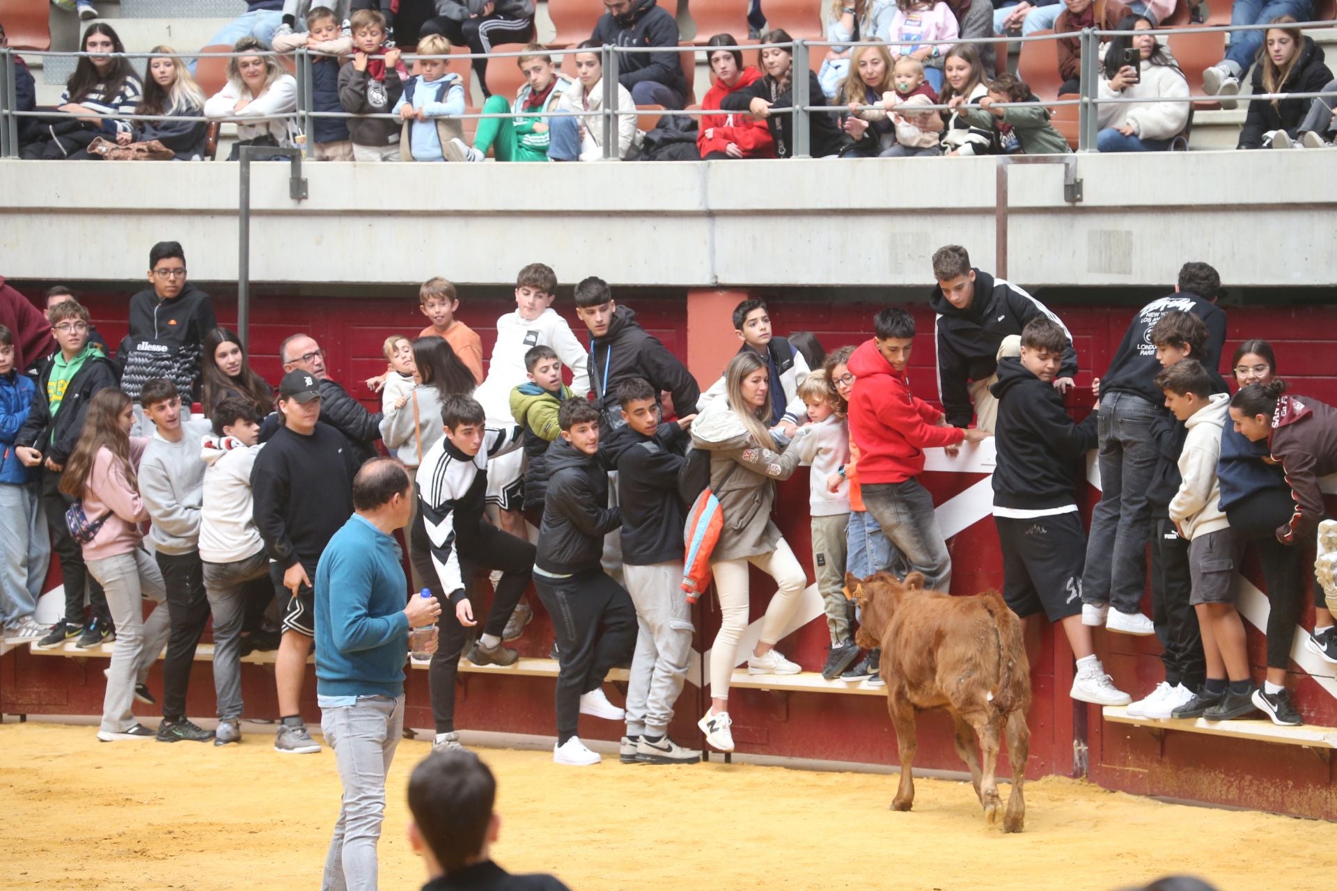 Las vaquillas tampoco defraudan el miércoles