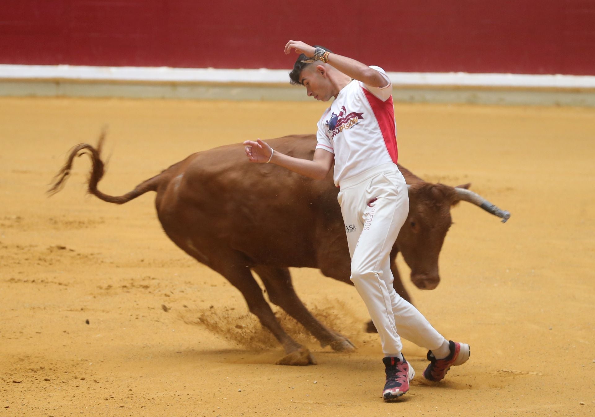 Las vaquillas tampoco defraudan el miércoles