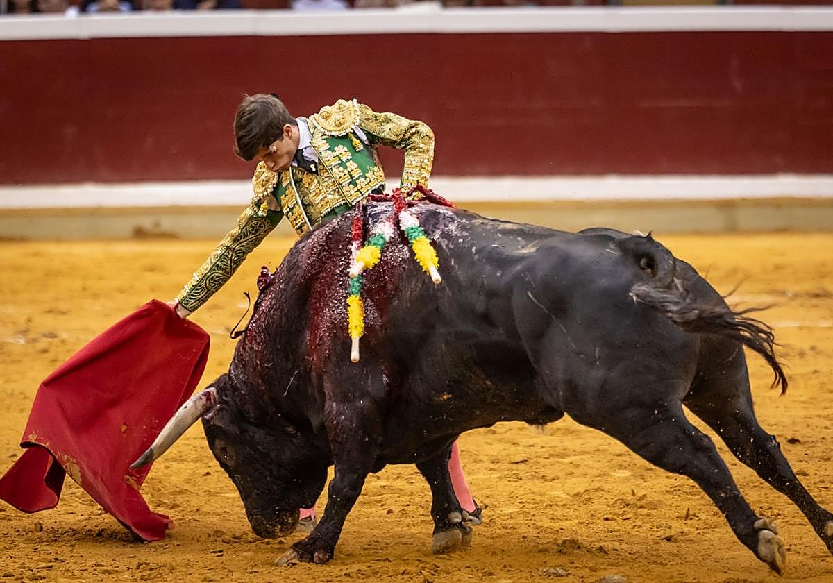 Aarón Palacio, en una de las dos tardes que toreó en Logroño.