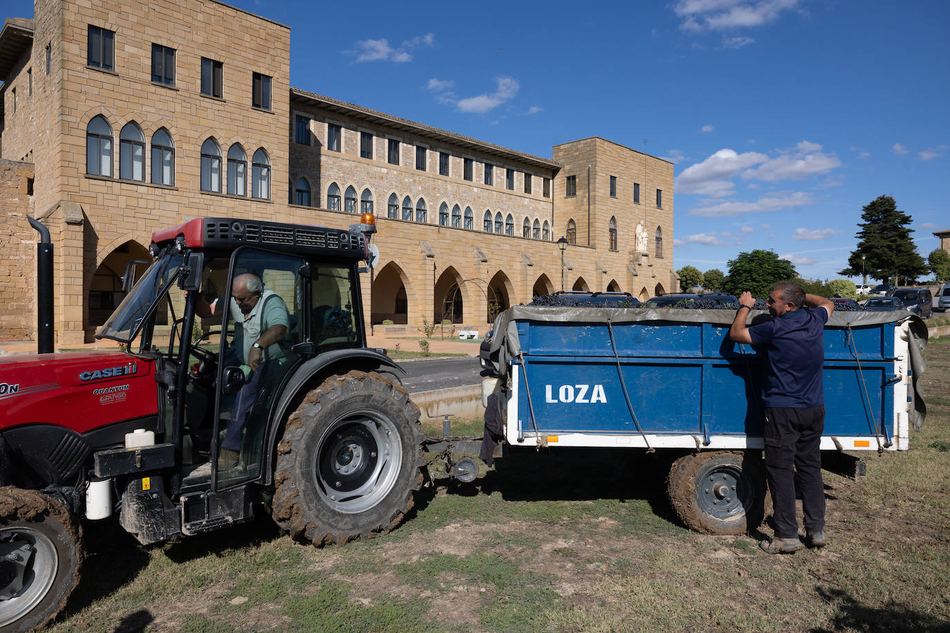 Las imágenes de la vendimia del santuario de La Estrella