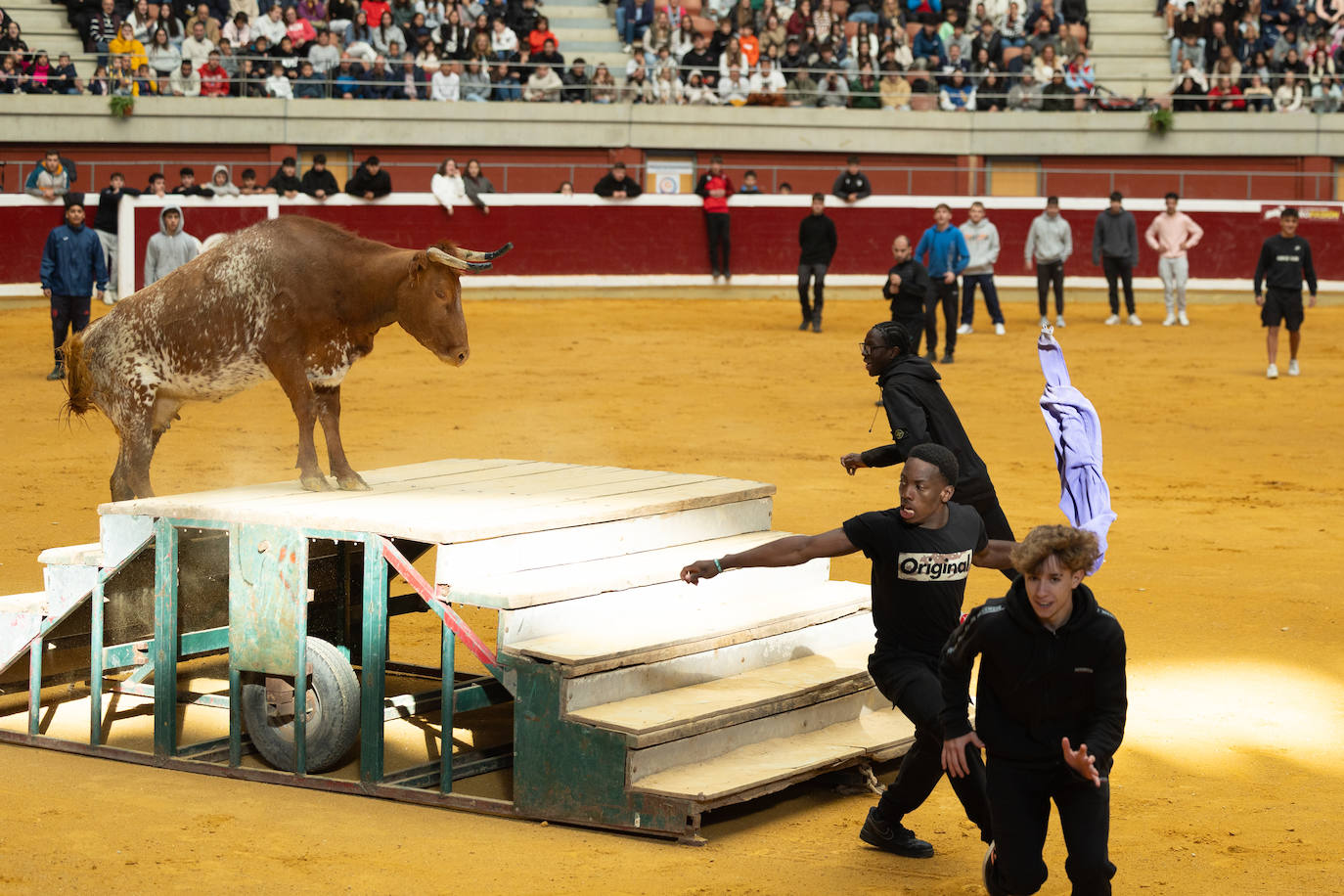 Las imágenes de las vaquillas del jueves