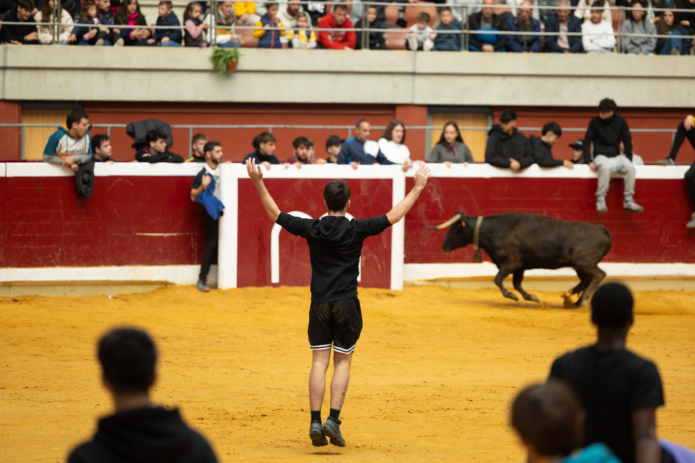 Las imágenes de las vaquillas del jueves
