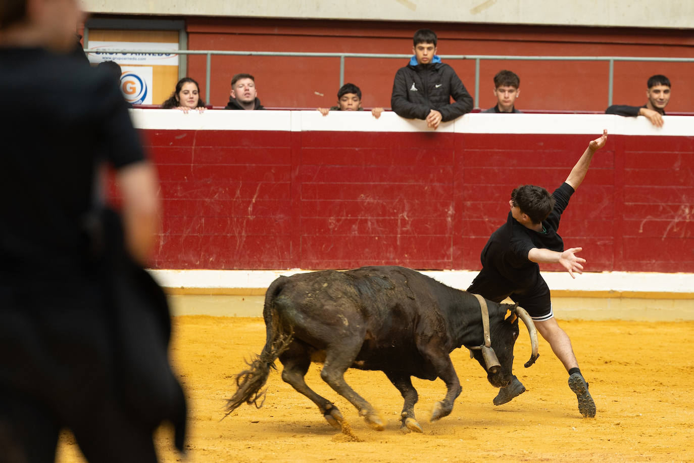 Las imágenes de las vaquillas del jueves