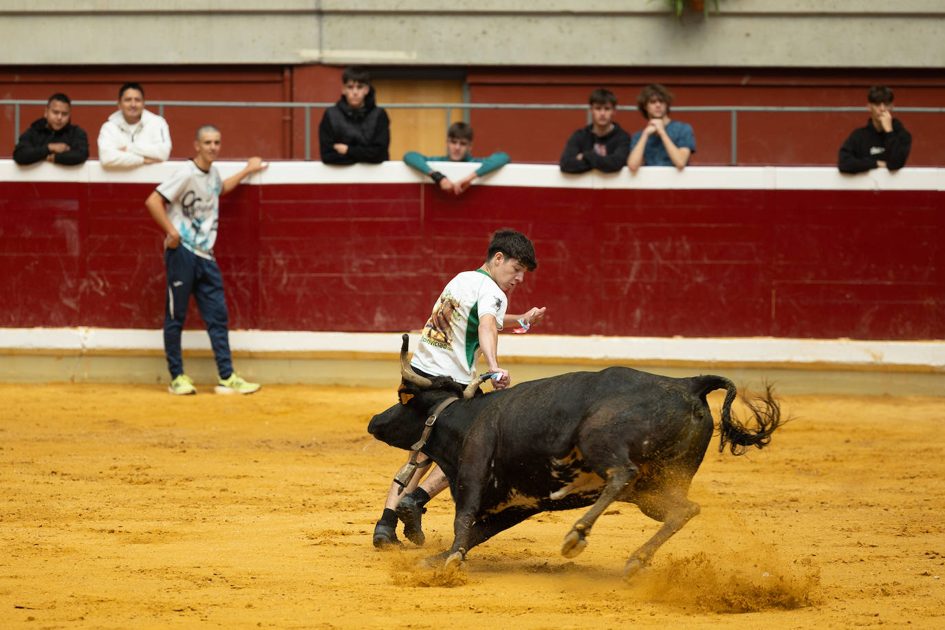 Las imágenes de las vaquillas del jueves