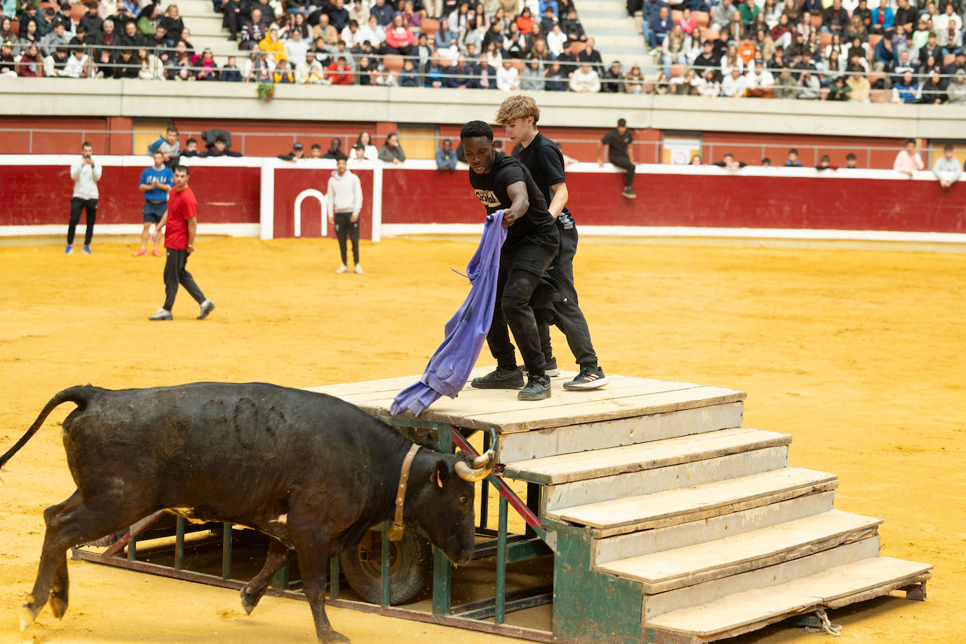Las imágenes de las vaquillas del jueves
