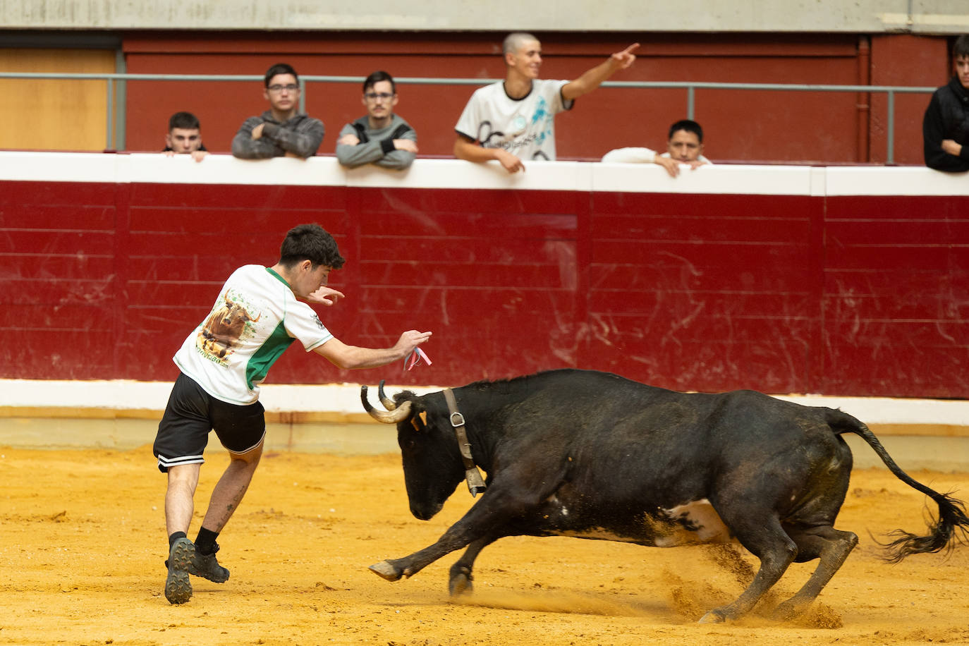 Las imágenes de las vaquillas del jueves