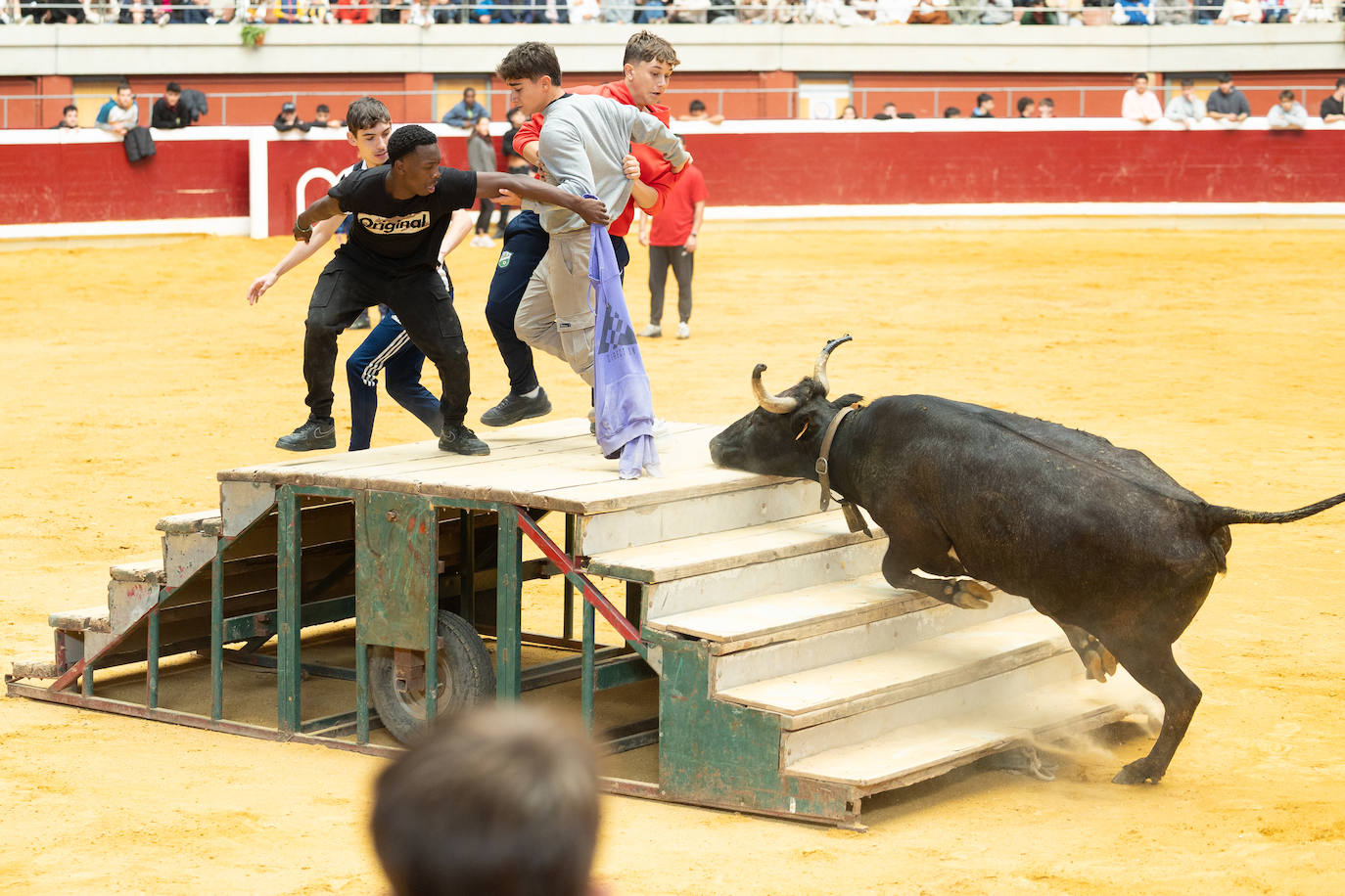 Las imágenes de las vaquillas del jueves