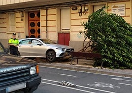 El vehículo, que ha invadido la acera y embestido a un árbol.