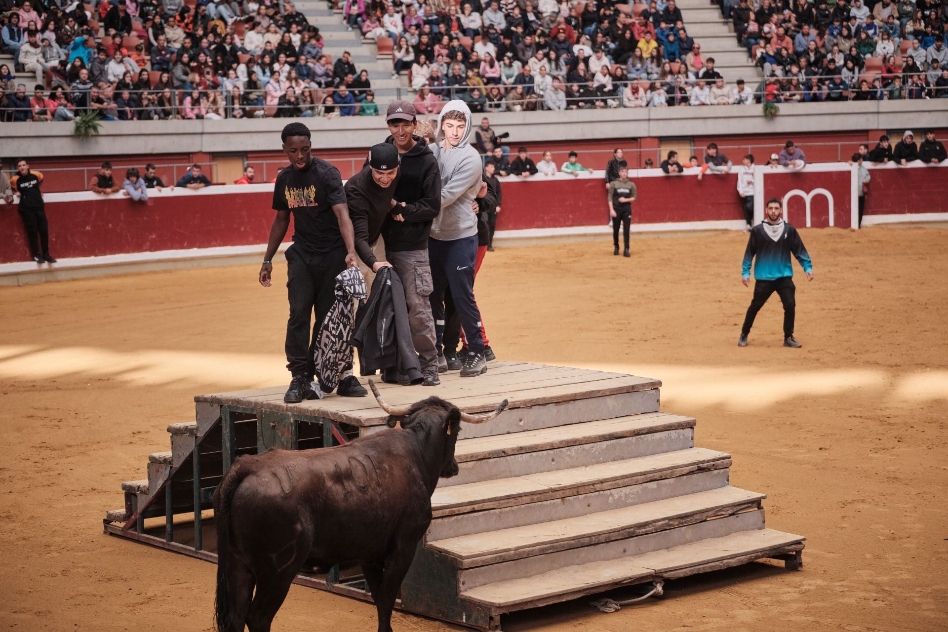 Último día de vaquillas en La Ribera