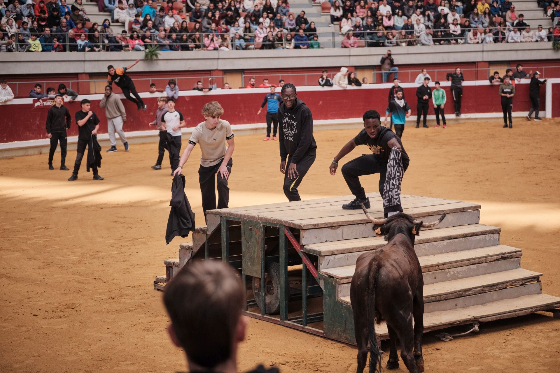 Último día de vaquillas en La Ribera