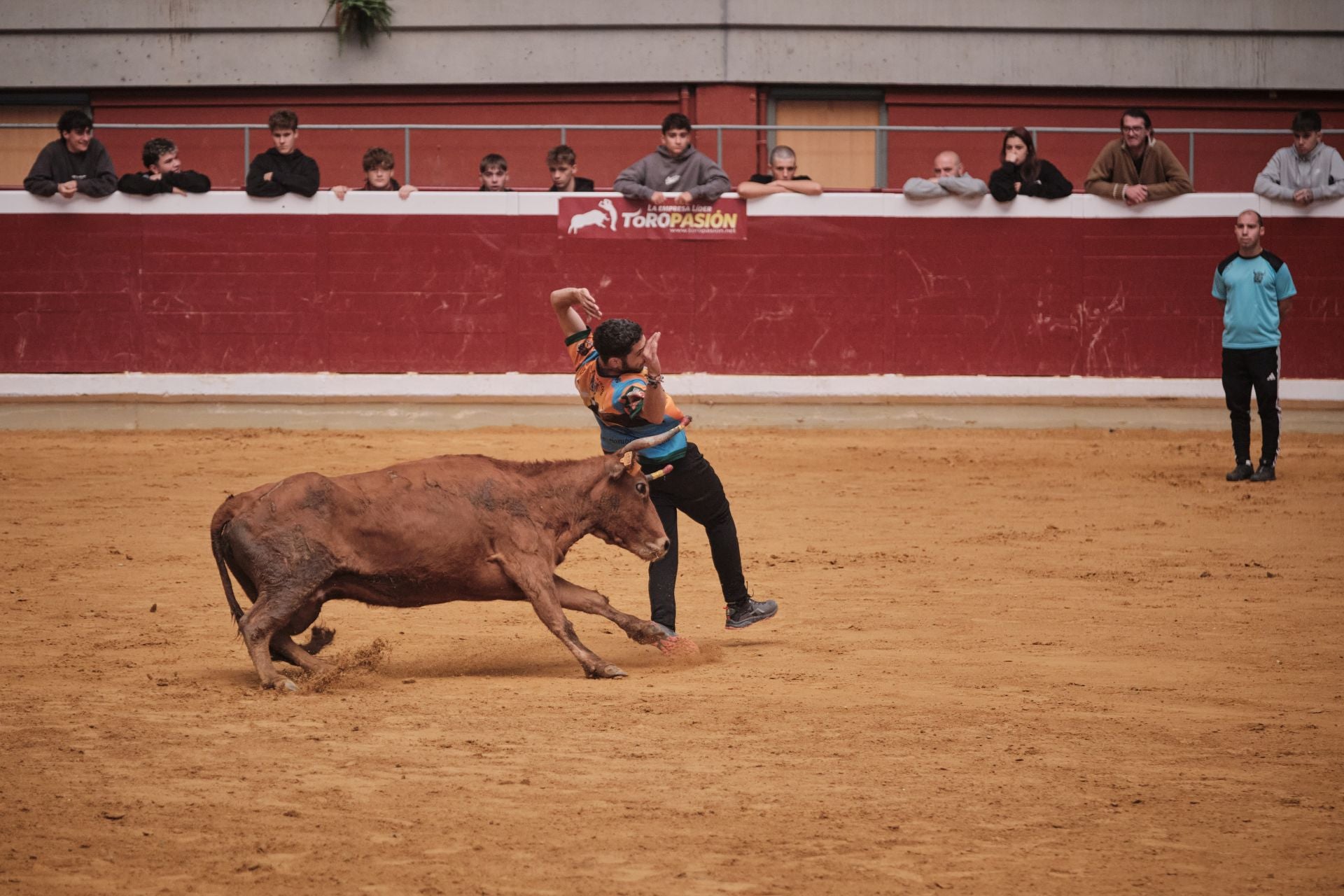 Último día de vaquillas en La Ribera