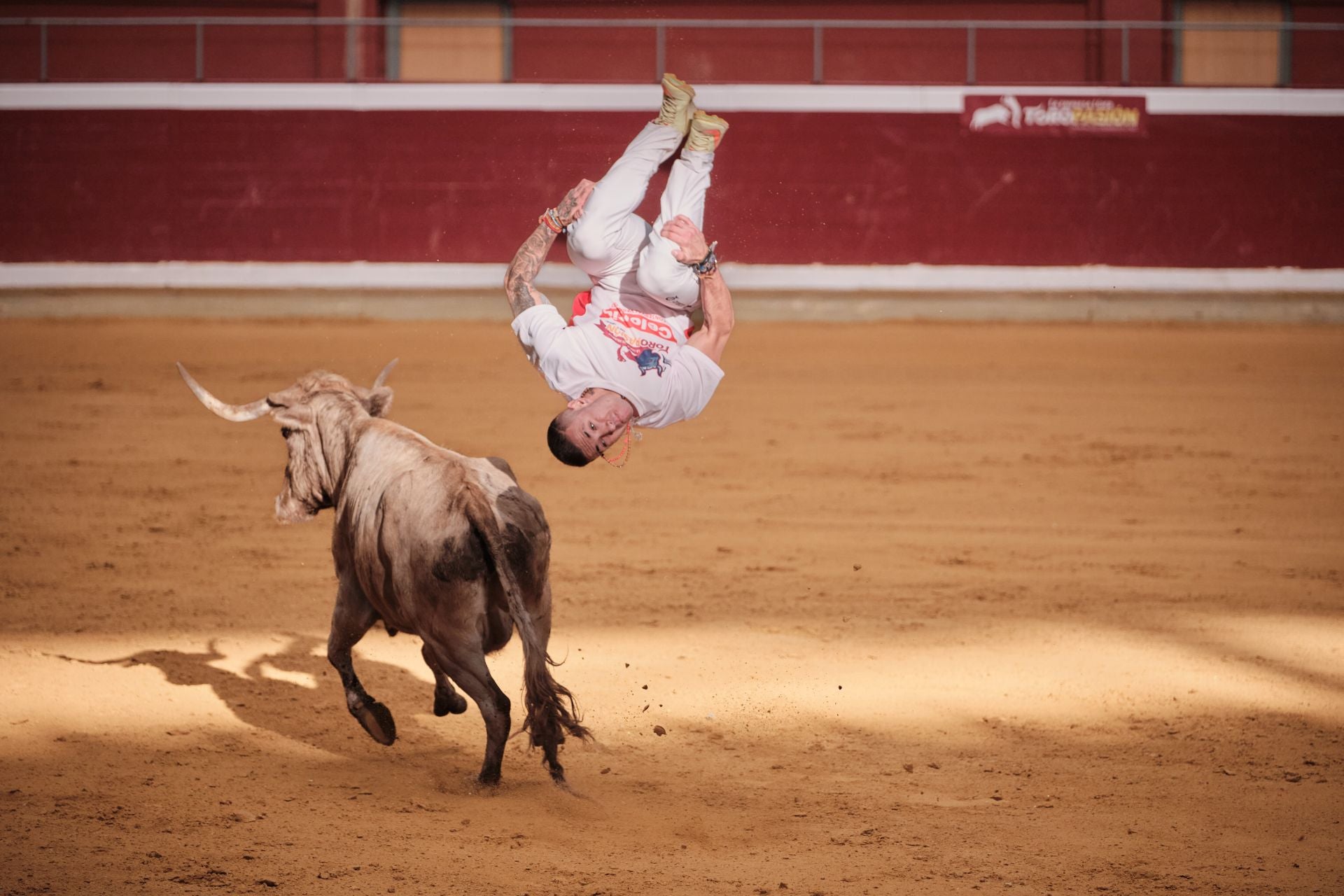 Último día de vaquillas en La Ribera