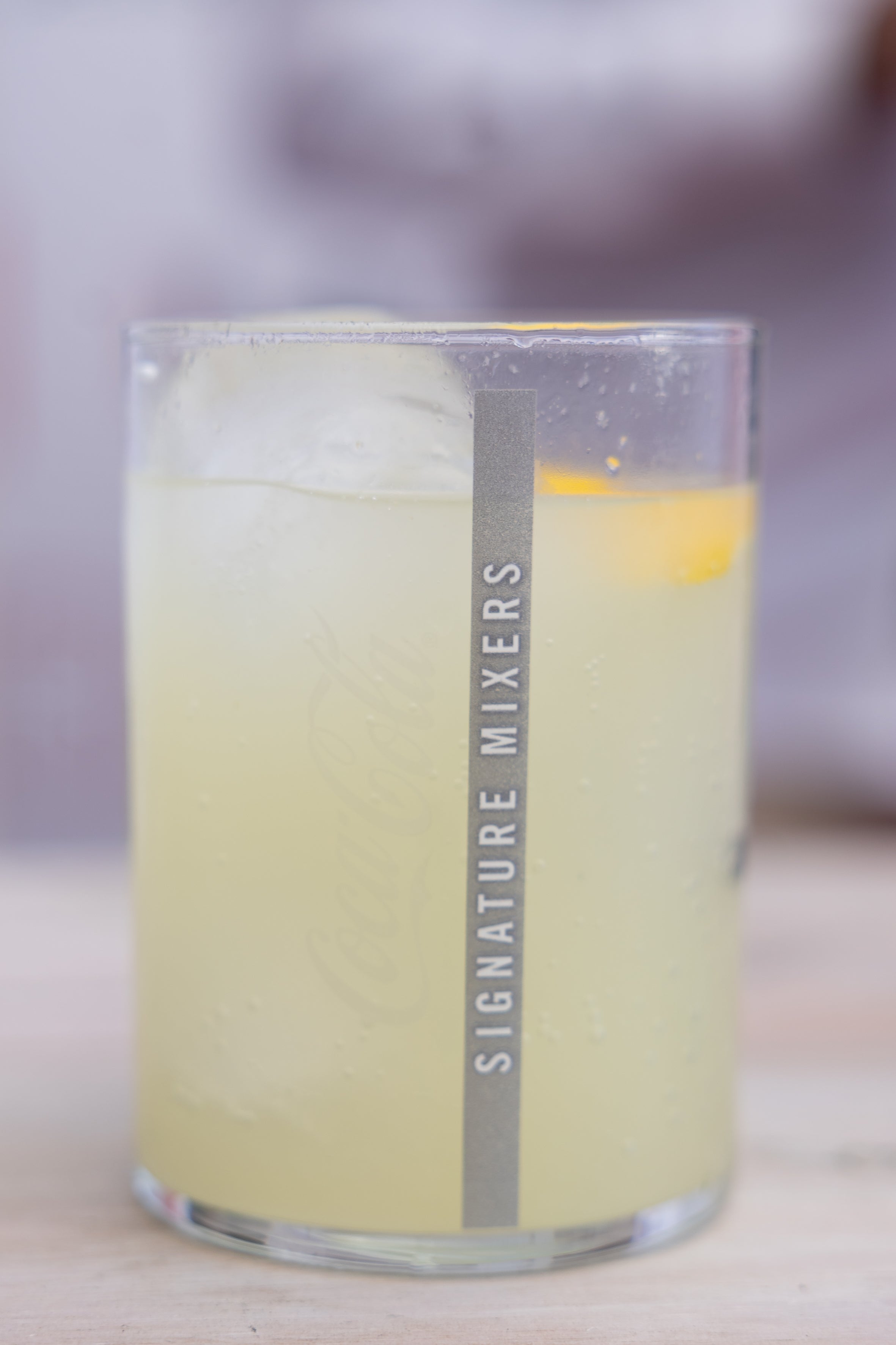 Las imágenes del taller de coctelería de Elena Urigüen