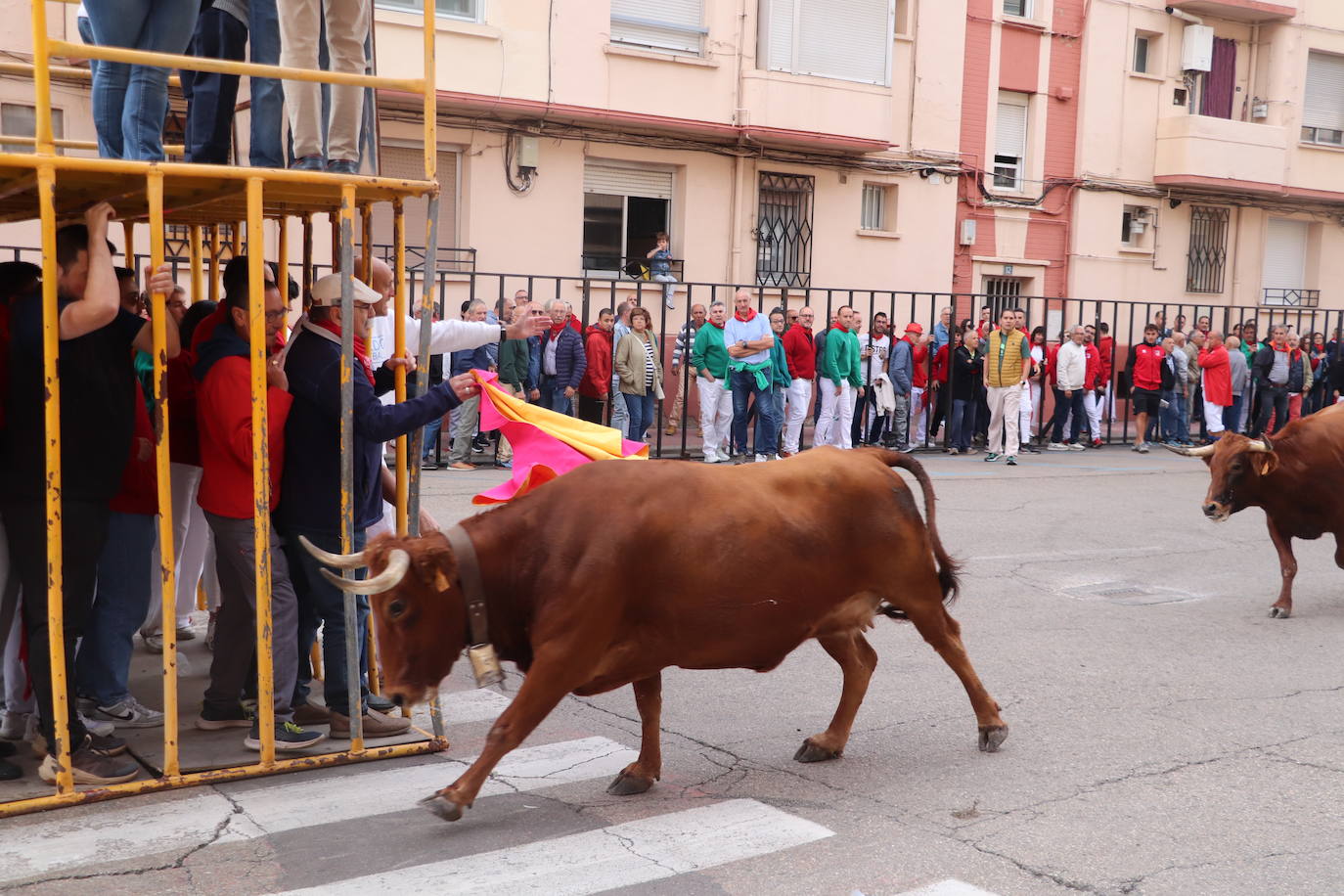 Las imágenes del domingo de fiestas en Arnedo