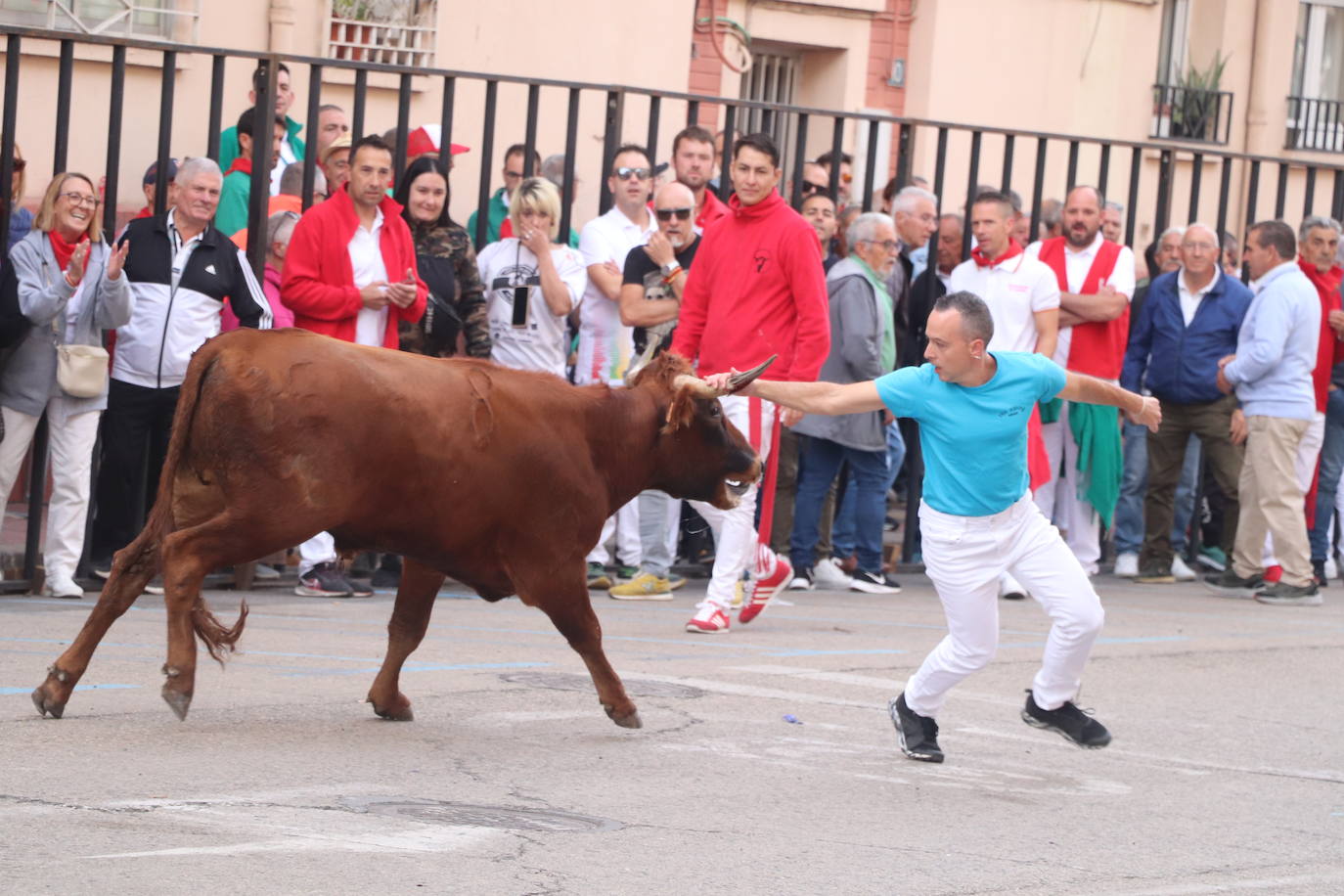 Las imágenes del domingo de fiestas en Arnedo