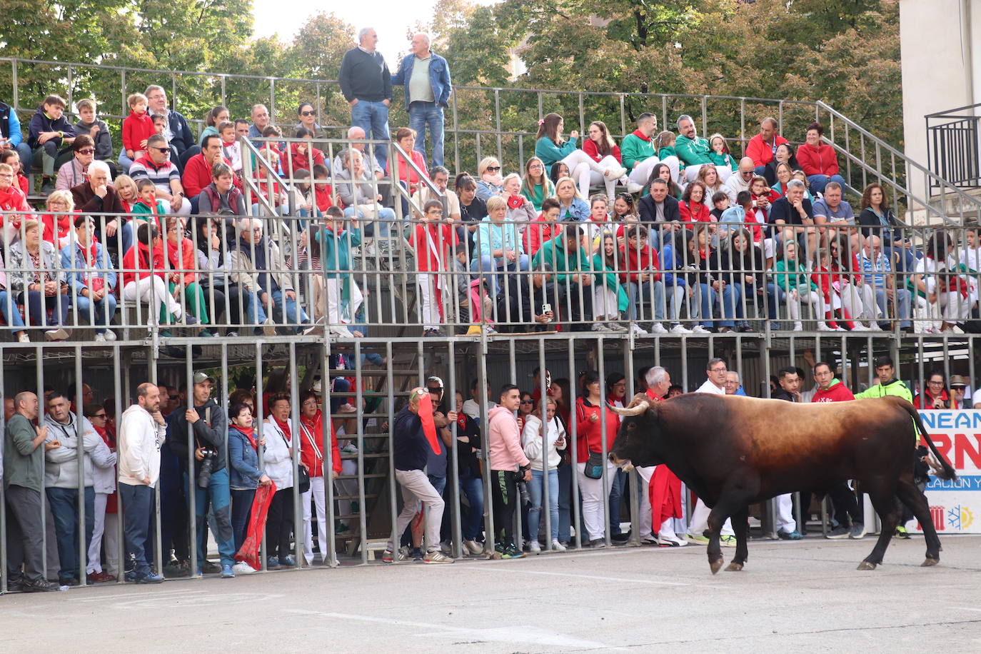 Las imágenes del domingo de fiestas en Arnedo