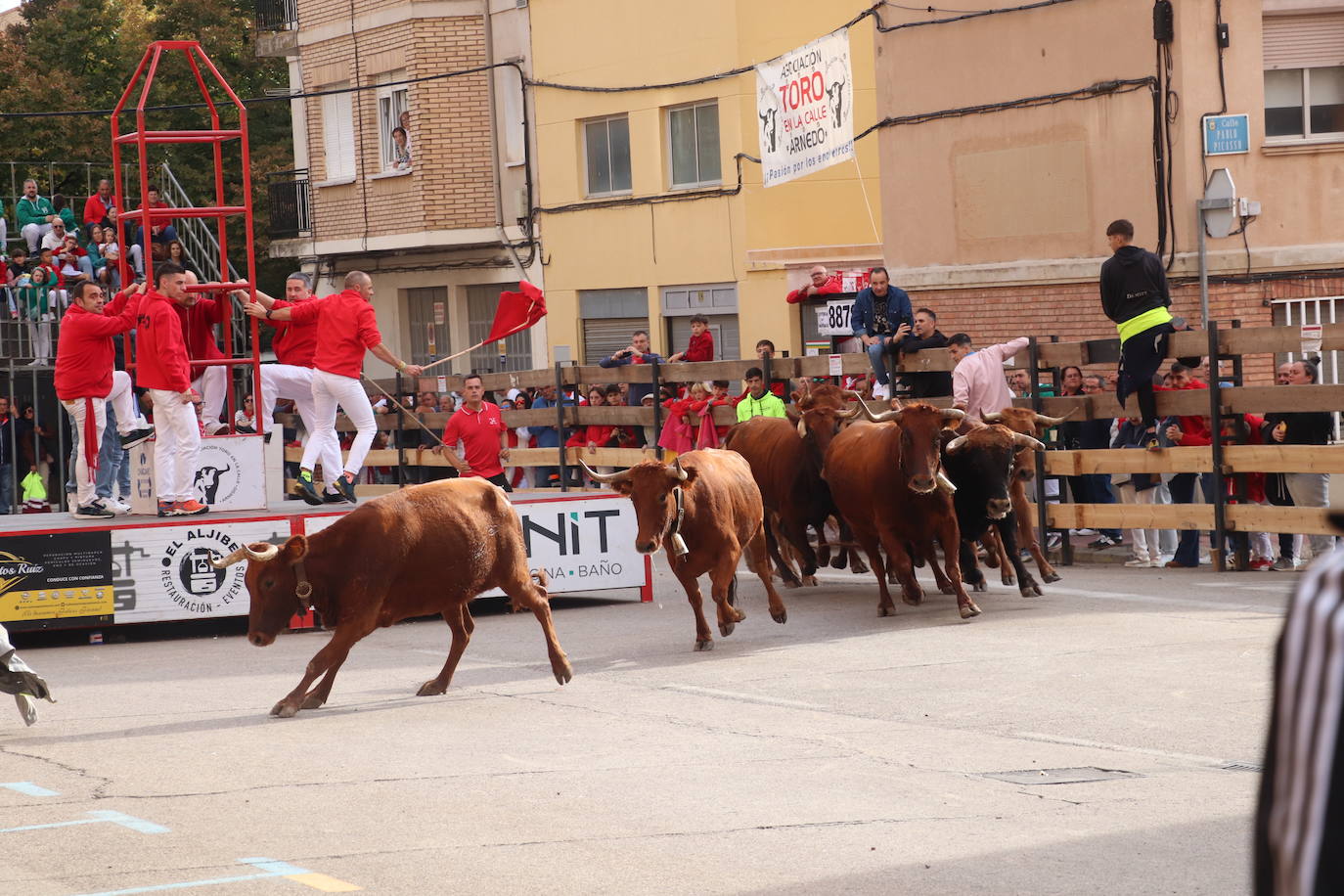 Las imágenes del domingo de fiestas en Arnedo