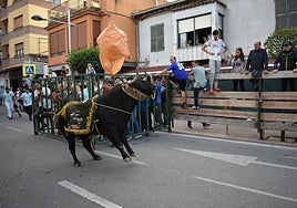 El toro de San Miguel con el manto de la asociación y el collar de cascabeles en el recorrido del encierro, en Rincón de Soto.