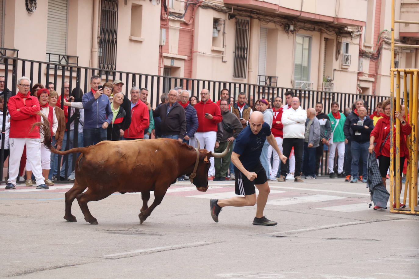 Las imágenes de las fiestas de Arnedo