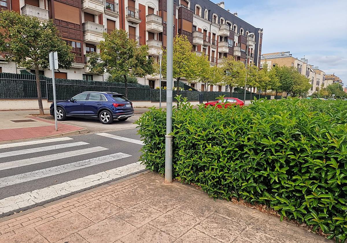 Árboles torcidos y una propuesta para habilitar aseos autolimpiables, en el Teléfono del Lector