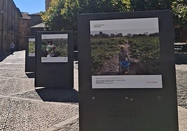 Otras noticias de Santo Domingo y San Asensio