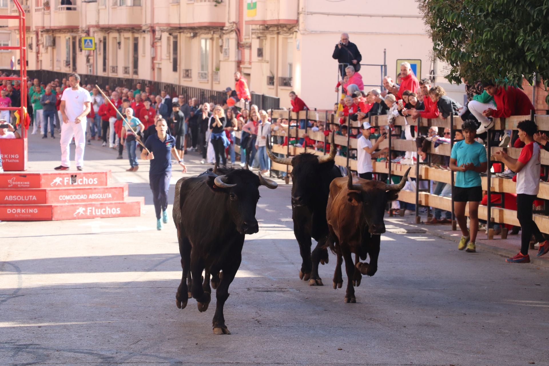 Arnedo sigue de fiestas entre degustaciones y las actividades en las peñas