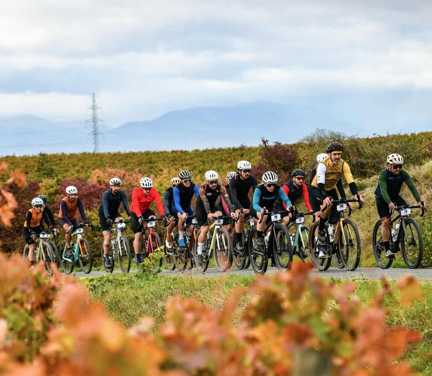 Imagen de la pasada edición de la Orbea Gravel por Rioja Alavesa.
