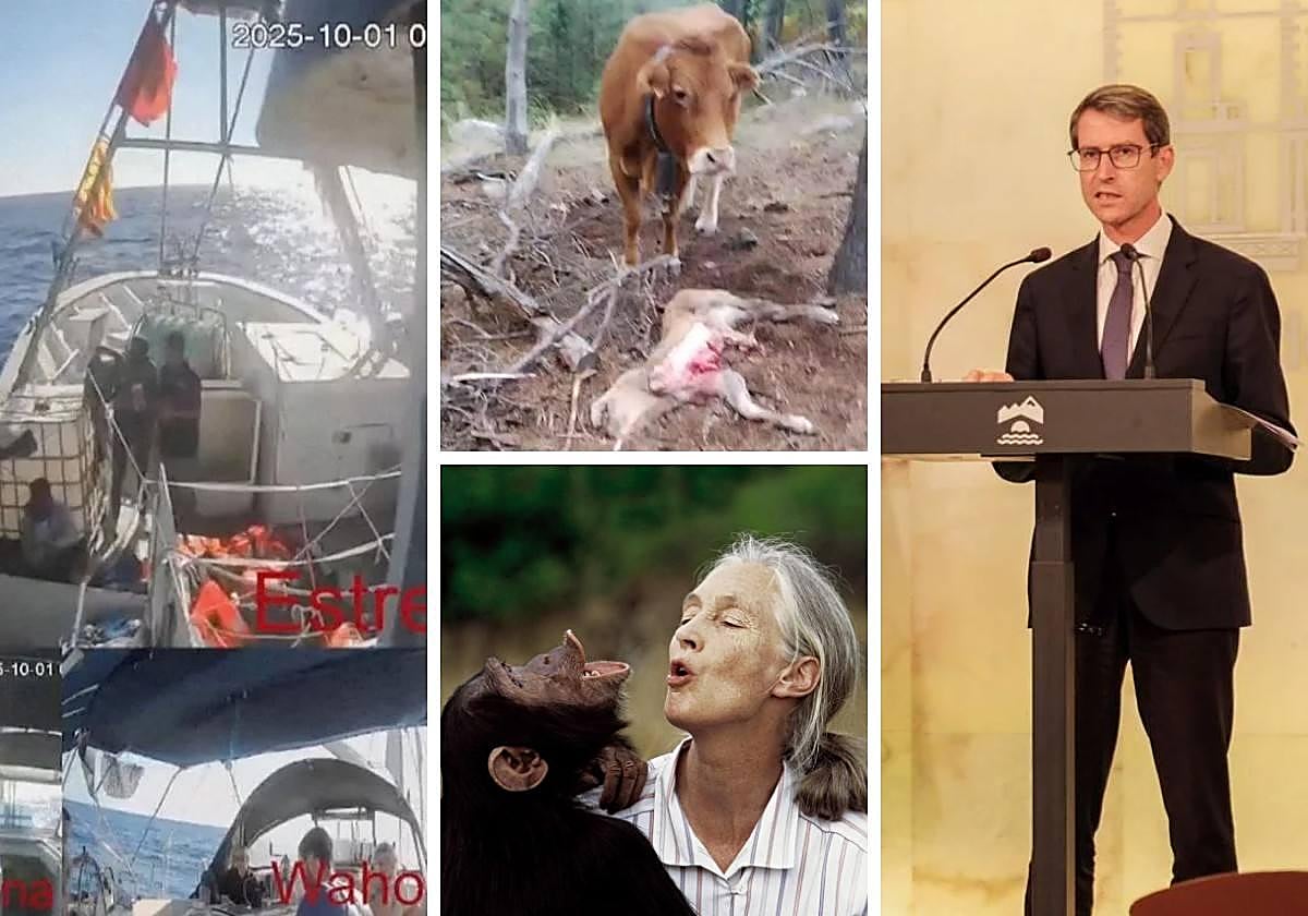 Las noticias del día