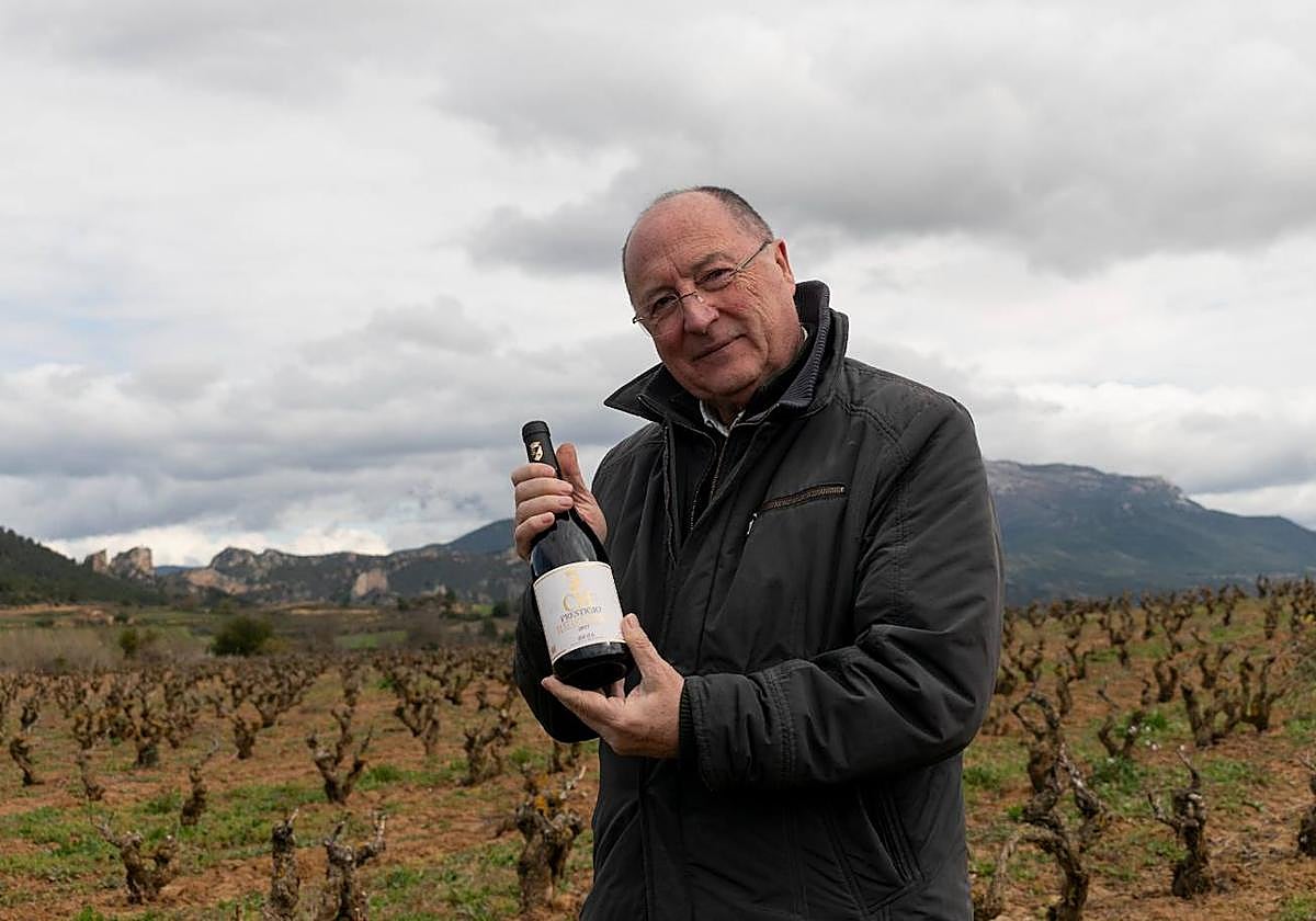 Dos tempranillos de San Vicente