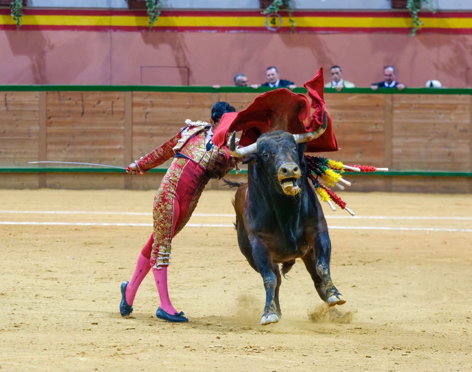 Pase de pecho de Pedro Luis.