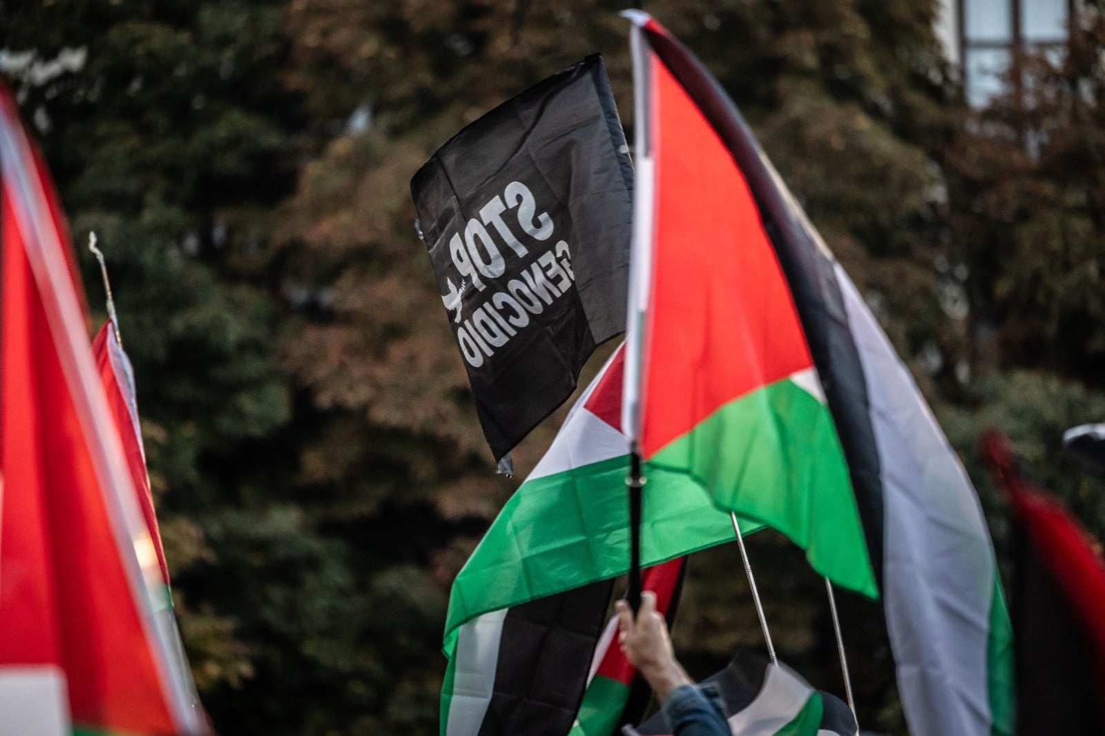 Manifestación en Logroño en apoyo al pueblo palestino